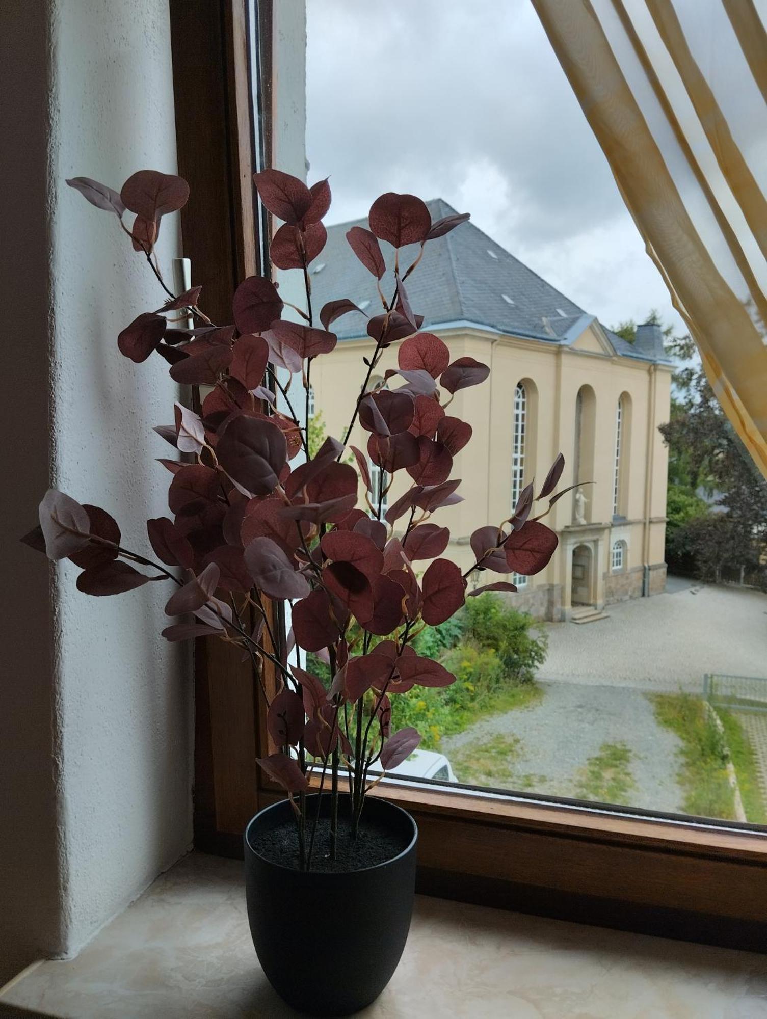 Pension Eberhart Treuen Zimmer foto